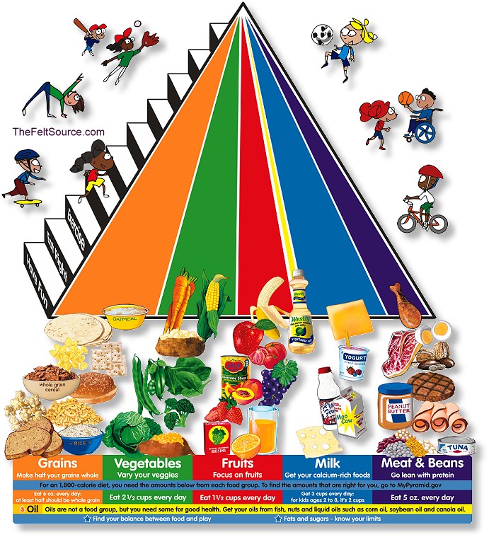 food pyramid pictures fashion